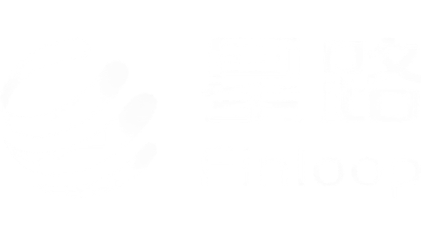 Finloop